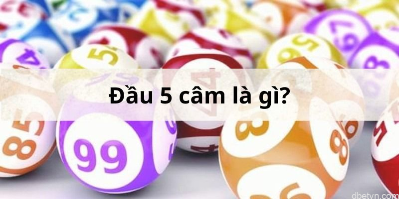 Bật mí đầu 5 câm đánh lô gì hôm sau dễ giành thắng lớn? 1